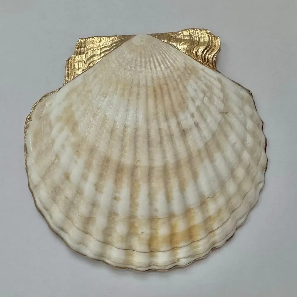 Coastal Amalfi Lemon Seashell Trinket Dish